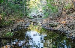 1397 Mountain Creek RD, Marble Falls, TX 78654