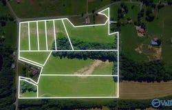 Lot 6 County Road 462, Pisgah, AL 35765