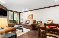 292 E Meadow Drive, Vail, CO 81657