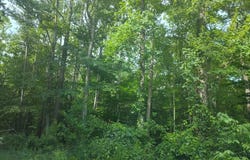 4820 DANVILLE ROAD, BRANDYWINE, MD 20613