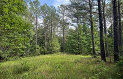 Ballentine Rd, SARDIS, MS 38606