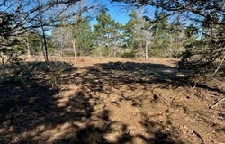 000 Grassyville RD, Paige, TX 78659