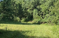40 Acres Hwy NN, Ithaca, WI 53581