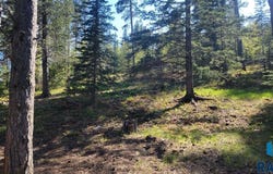 Whitetail Dr, Lead, SD 57754
