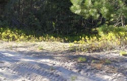 51734 Rice Lake, Lake Linden, MI 49945