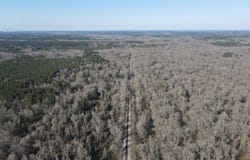 Bogue Chitto Road, Bogue Chitto, MS 39629