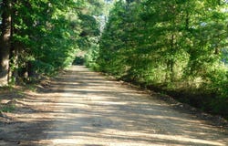 520 Little River 25, AR 71836