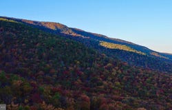 FOX Trail, WINCHESTER, VA 22602