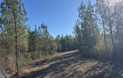 Straw Bridge Rd lot: 56, Jay, FL 32565