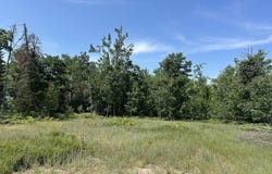 9340 Ryan Road, Atlanta, MI 49709
