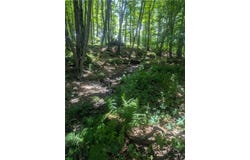 Lot 1 361st Street, Stanley, WI 54768