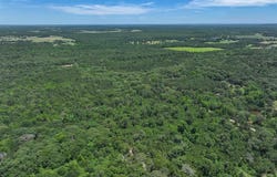 Tbd Pvt. Rd 8079 Road, Ben Wheeler, TX 75754
