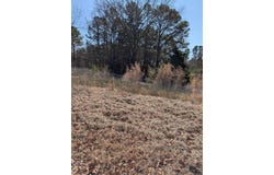 2541 Haynesville Hwy., Parkers Chapel, AR 71730