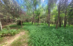 0 Kevin Drive, Goode, VA 24556