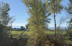 12551 6495 Road, Montrose, CO 81401