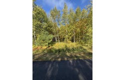 Pine Grove Lane lot: #13, Etna, ME 04434