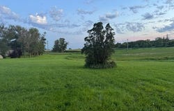 Lots 6, 7, 8 Main Street, Lily, SD 57274