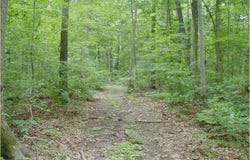 12605 CEDARVILLE ROAD, BRANDYWINE, MD 20613