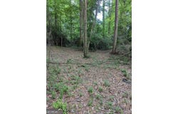 4.2 +/-ACRES River, Ellenwood, GA 30294