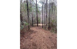 15+/- Acre Rockhill Rd., Purvis, MS 39475