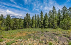 Tamarack View Drive, New Meadows, ID 83654