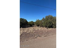 8692 Supancheck Road, Show Low, AZ 85901