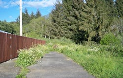 2436 Edwards Avenue, Crescent City, CA 95531-0348