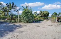 6747 Carol Street, Loxahatchee, FL 33470
