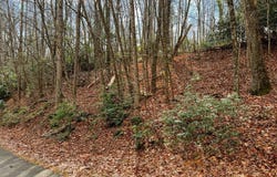Lot 45 Southern View Trail, Fancy Gap, VA 24328