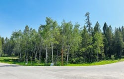 4498 Stone Run, Island Park, ID 83429