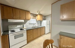 245 Berry Hill Road, Spruce Pine, NC 28777