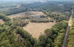 311 O Ashely Road, Samson, AL 36477