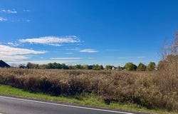 3961 Shrine Road, Springfield, OH 45502