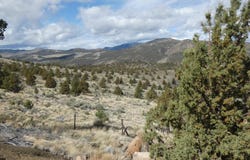 16220 Lost Coyote Lane, Mitchell, OR 97750