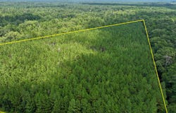 Miggins Road, Canton, MS 39046