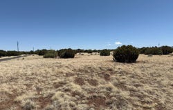 8481 Alpine Place, Show Low, AZ 85901