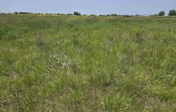 Highway 14, Chariton, IA 50049