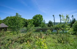 1718 Doe Brook Rd, Hamden, NY 13782