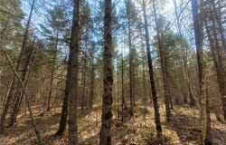 On Dean Road, Ladysmith, WI 54848