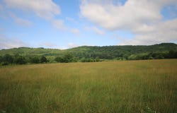 110 Acres Bivens Rd., Tellico Plains, TN 37385