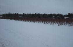 0 N Weber Road, Muskegon, MI 49445