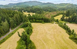 Papenfus RD, Pleasant Hill, OR 97455