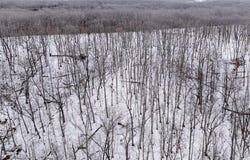 0 Pebble Creek Drive, Warrenton, MO 63383