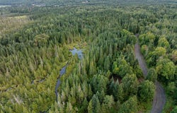 Wood Yard Crossing lot: 3, Pittsburg, NH 03592