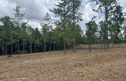 Lot 2 Happy Hollow, Roopville, GA 30170
