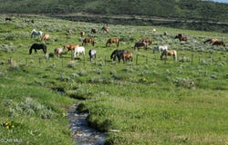 0341 Corral Trail, Silverthorne, CO 80498
