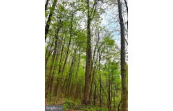 763 WHETSTONE ROAD, MANNINGTON, WV 26582