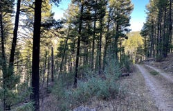 NHN Two Creeks Road, White Sulphur Springs, MT 59645