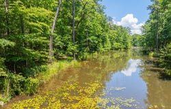 0 Boulder Lake Drive, Coalmont, TN 37313