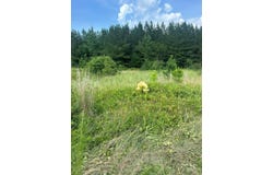 0 Highway 73 Highway, Iron Station, NC 28080